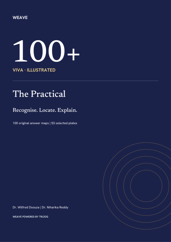 Weave 100 · Viva+ cover