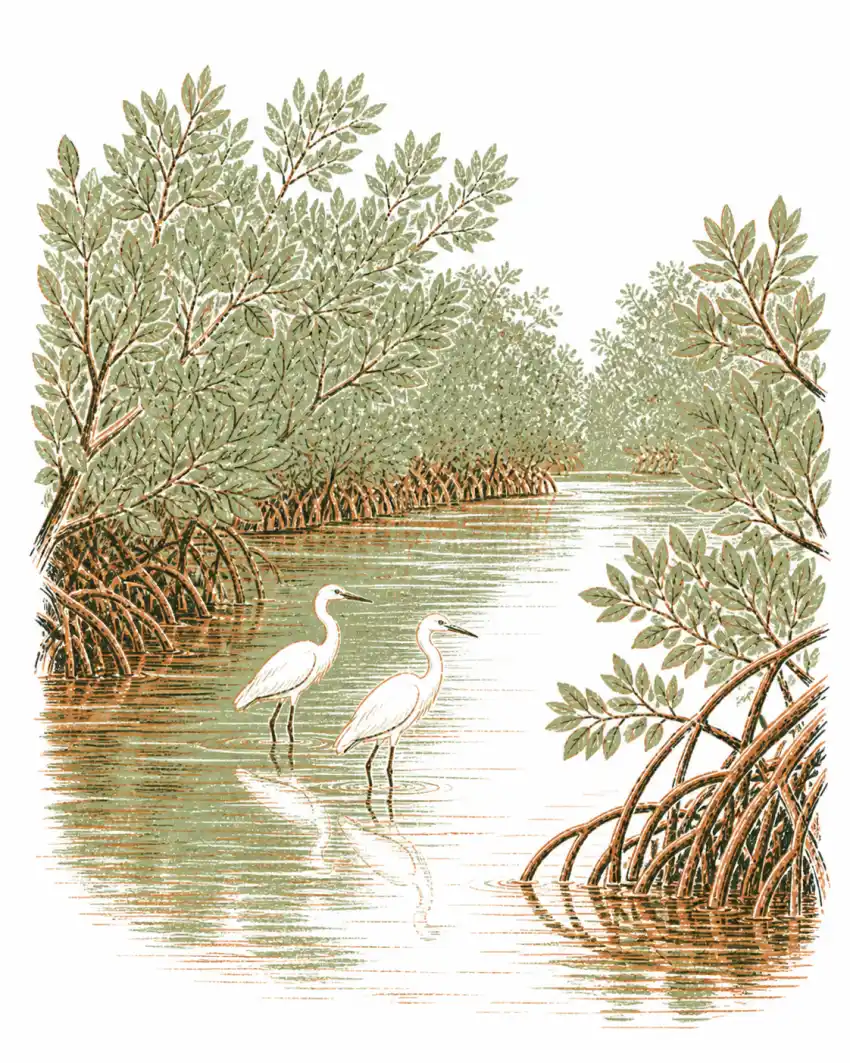 Hand-drawn Vikhroli mangrove greens along a quiet creek, one white egret among the roots