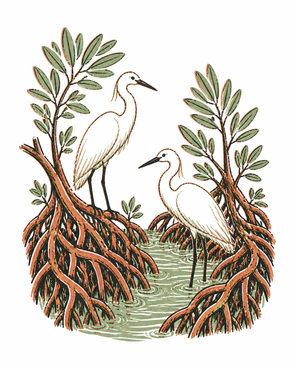 Hand-drawn mangrove creek with two egrets among the roots