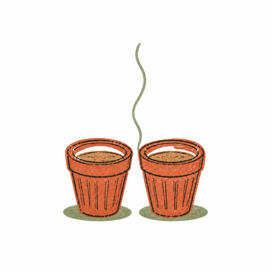 Two cups of chai, their steam joining